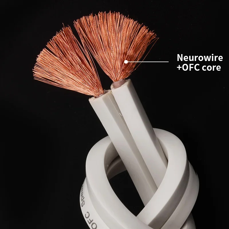YYTCG DIY Loud Speaker Cable H - огляд і ціна Home Cinema Heos
