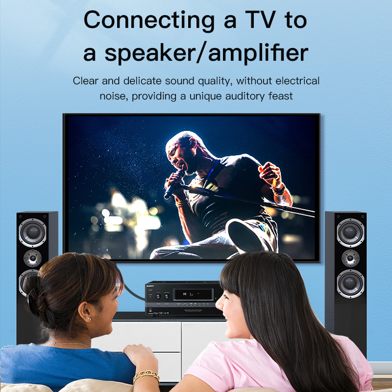 CHOSEAL RCA Cable Digital Coax - огляд і ціна Home Cinema Heos