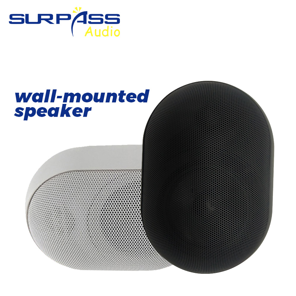30W Wall-mounted Speaker Water - огляд і ціна Wall Mount Speaker