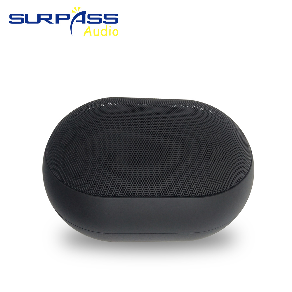 30W Wall-mounted Speaker Water - огляд і ціна Wall Mount Speaker