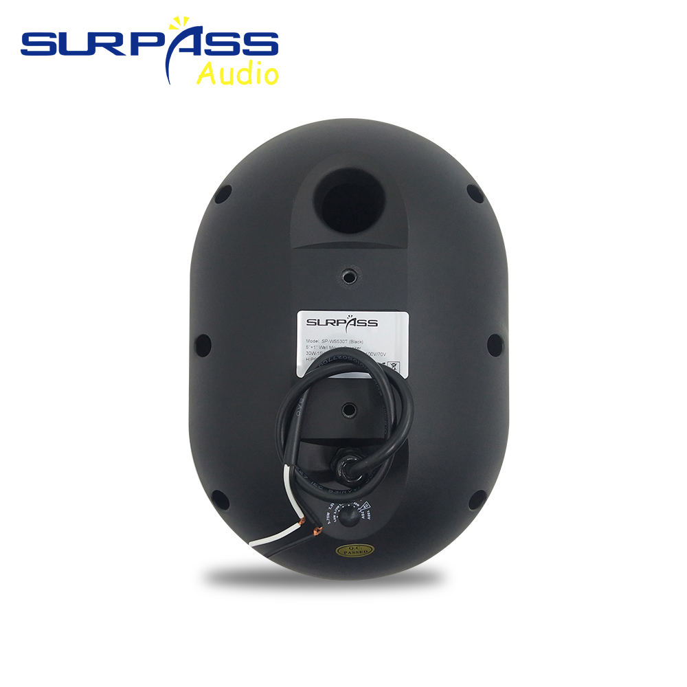 30W Wall-mounted Speaker Water - огляд і ціна Wall Mount Speaker