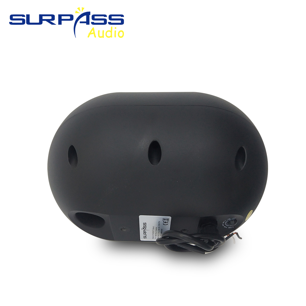 30W Wall-mounted Speaker Water - огляд і ціна Wall Mount Speaker